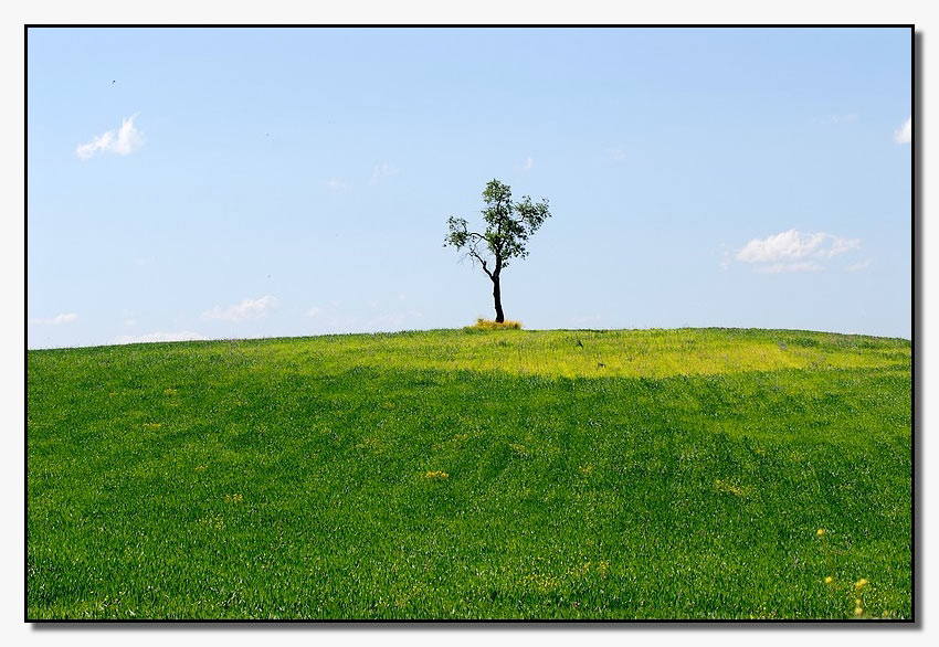 Paesaggio siciliano 3