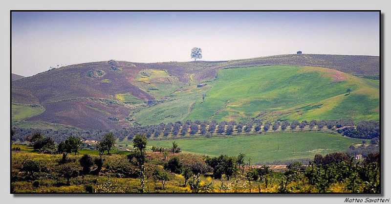 Paesaggio siciliano 4