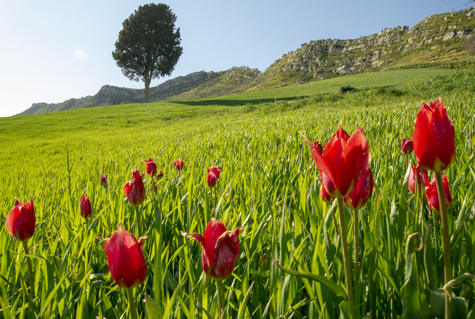 Paesaggio siciliano