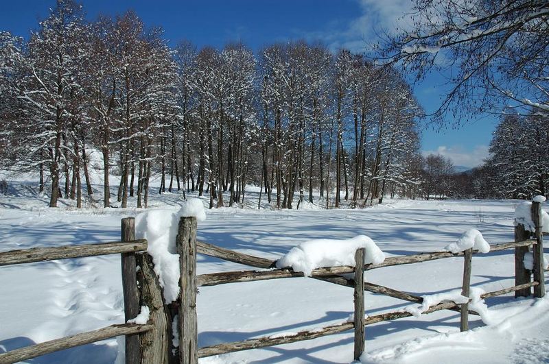 Paesaggio "Silano"