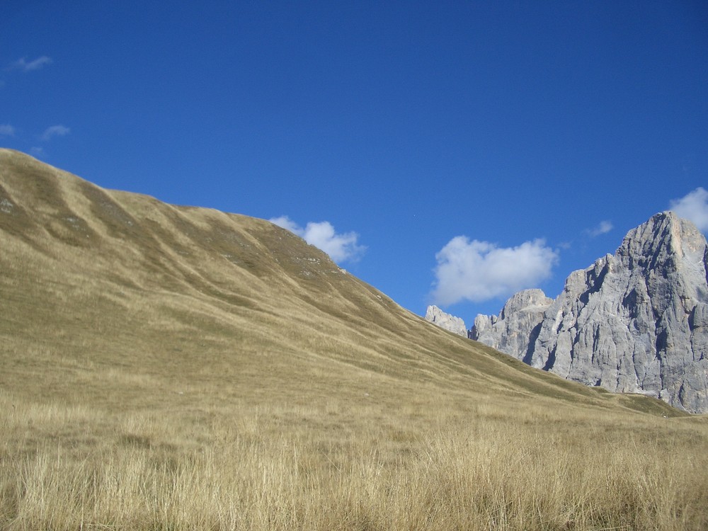 Paesaggio S.Martino di Castrozza