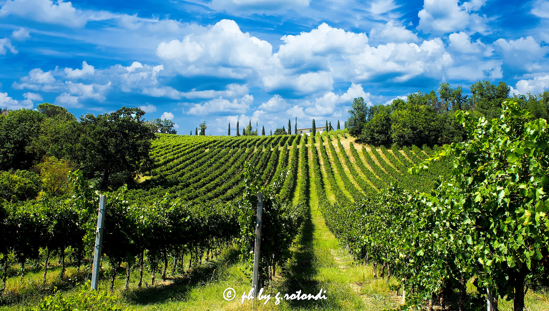 Paesaggio Spoletino (umbria) Italia