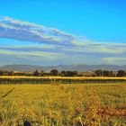 Paesaggio spoletino Umbria Italy