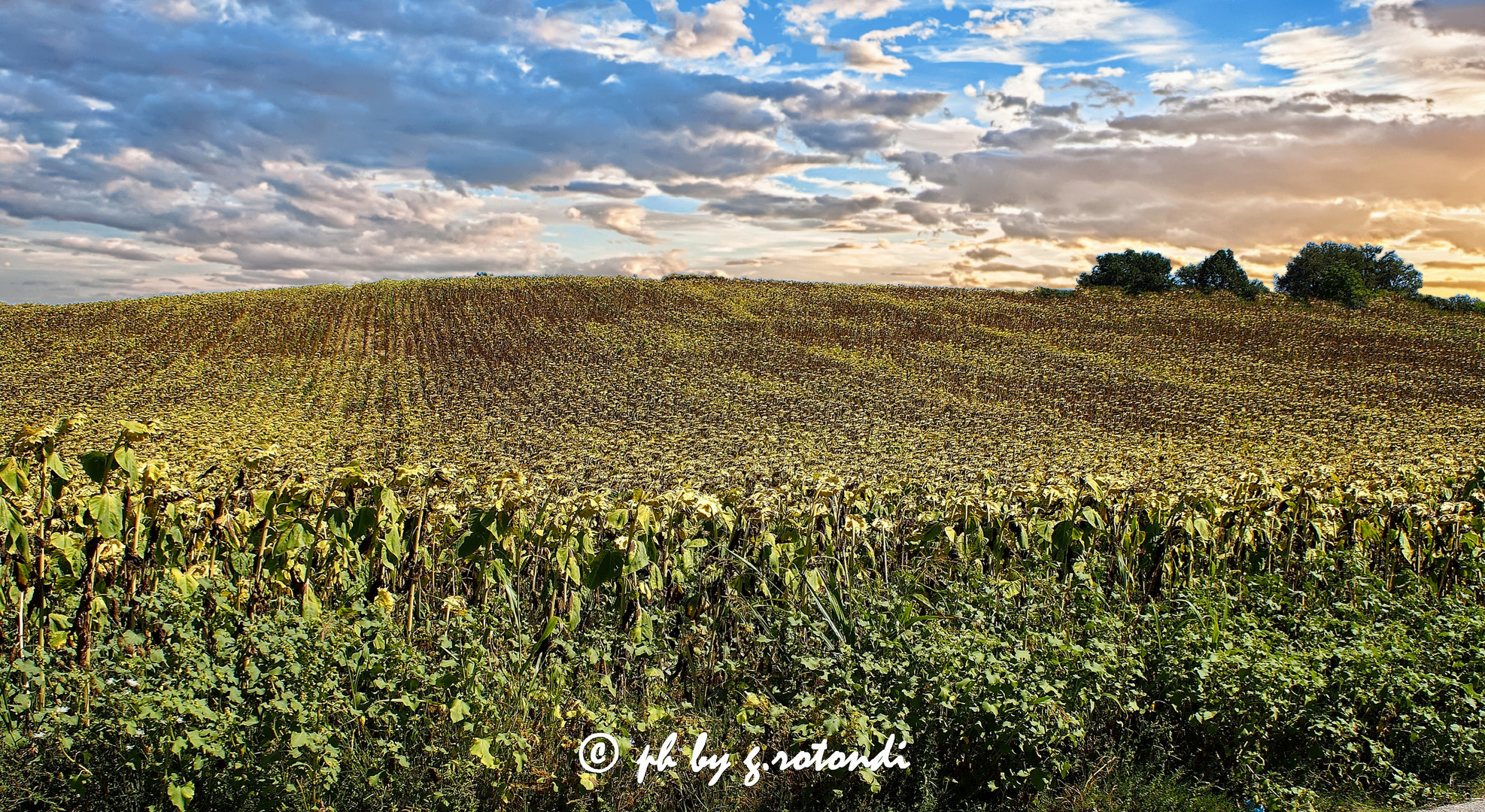 paesaggio spoletino - Umbria -Italy