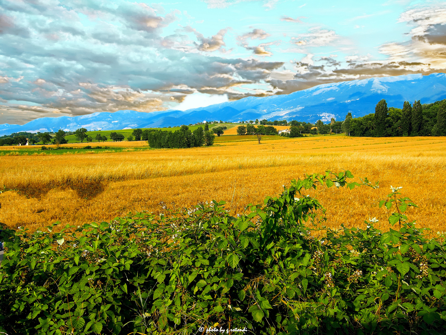 Paesaggio spoletino Umbria Italy