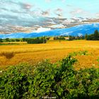 Paesaggio spoletino Umbria Italy