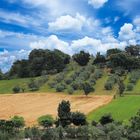 Paesaggio spoletino Umbria Italy