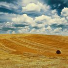  Paesaggio spoletino.Umbria Italy