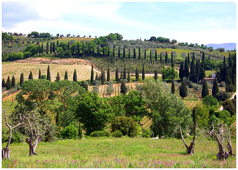 Paesaggio toscano