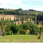 Paesaggio toscano