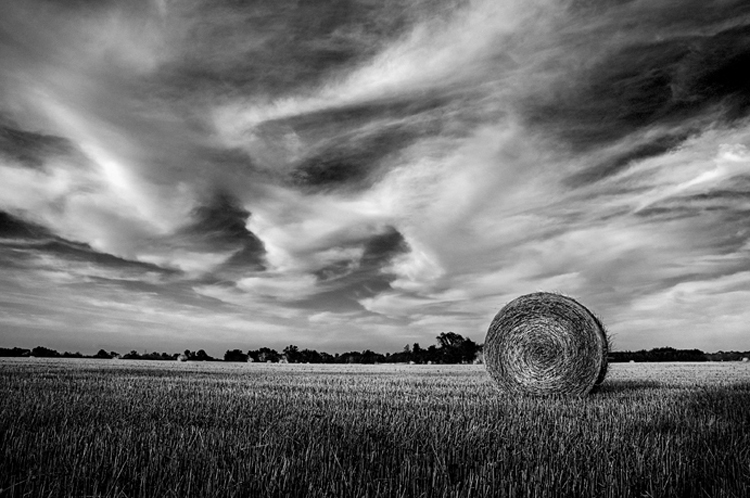 Paesaggio Toscano / 5