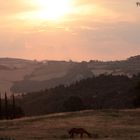 Paesaggio Toscano.