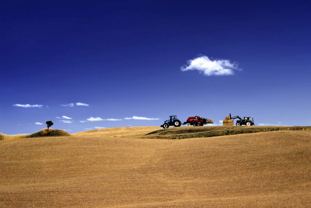 Paesaggio Toscano