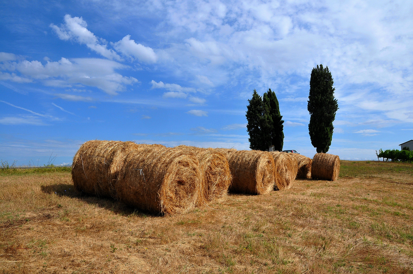 Paesaggio Toscano