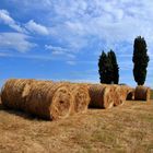 Paesaggio Toscano