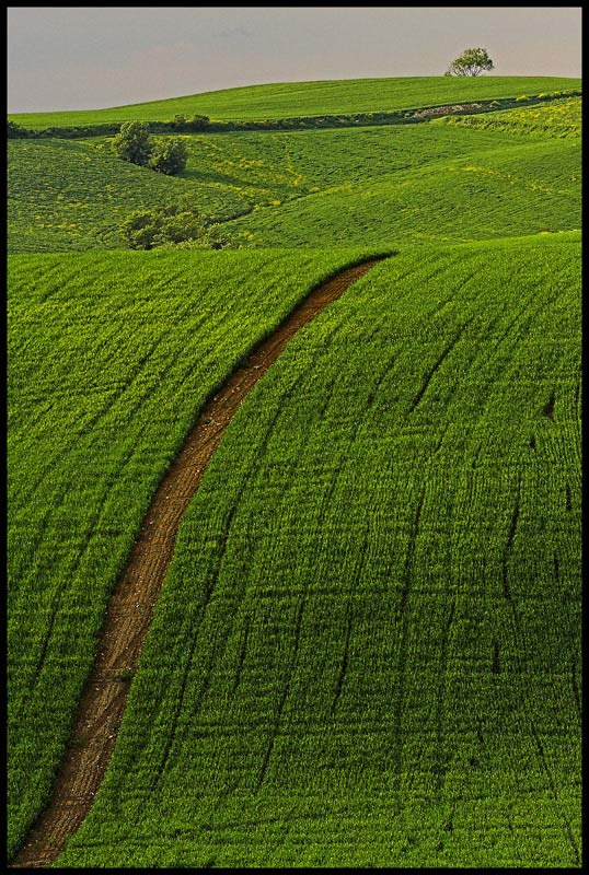 paesaggio toscano