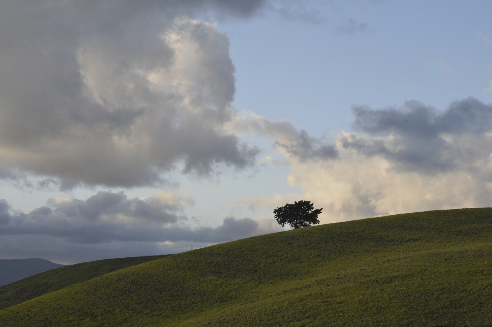 Paesaggio Toscano