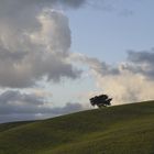 Paesaggio Toscano