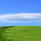 Paesaggio toscano