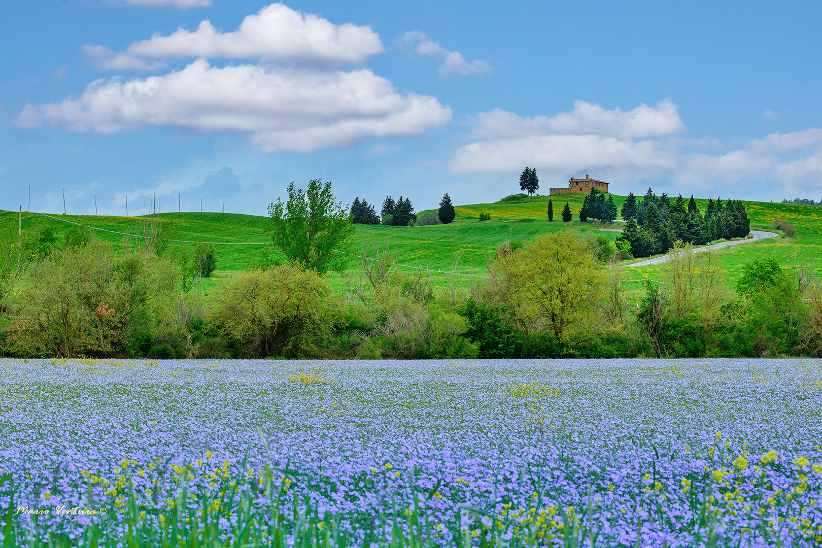 Paesaggio toscano in primavera