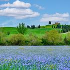 Paesaggio toscano in primavera