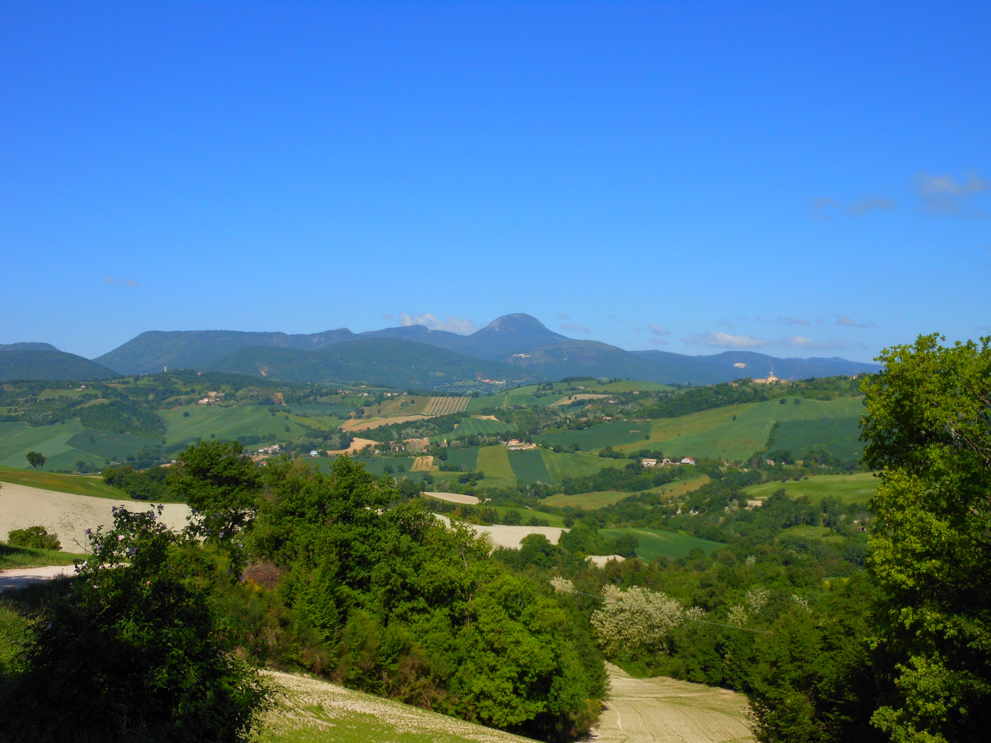 Risultato immagini per treia paesaggio