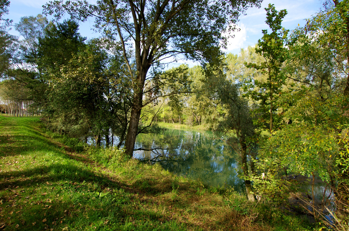 paesaggio veneto