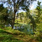 paesaggio veneto