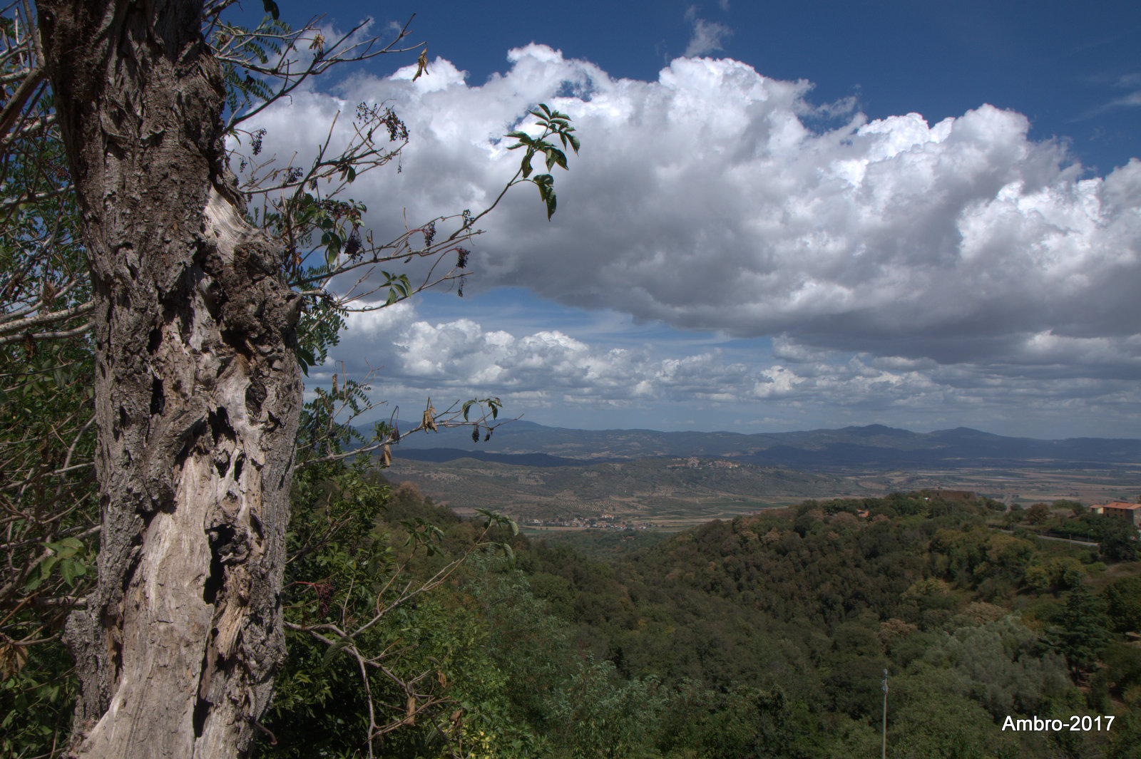 Paesaggio - Vetulonia