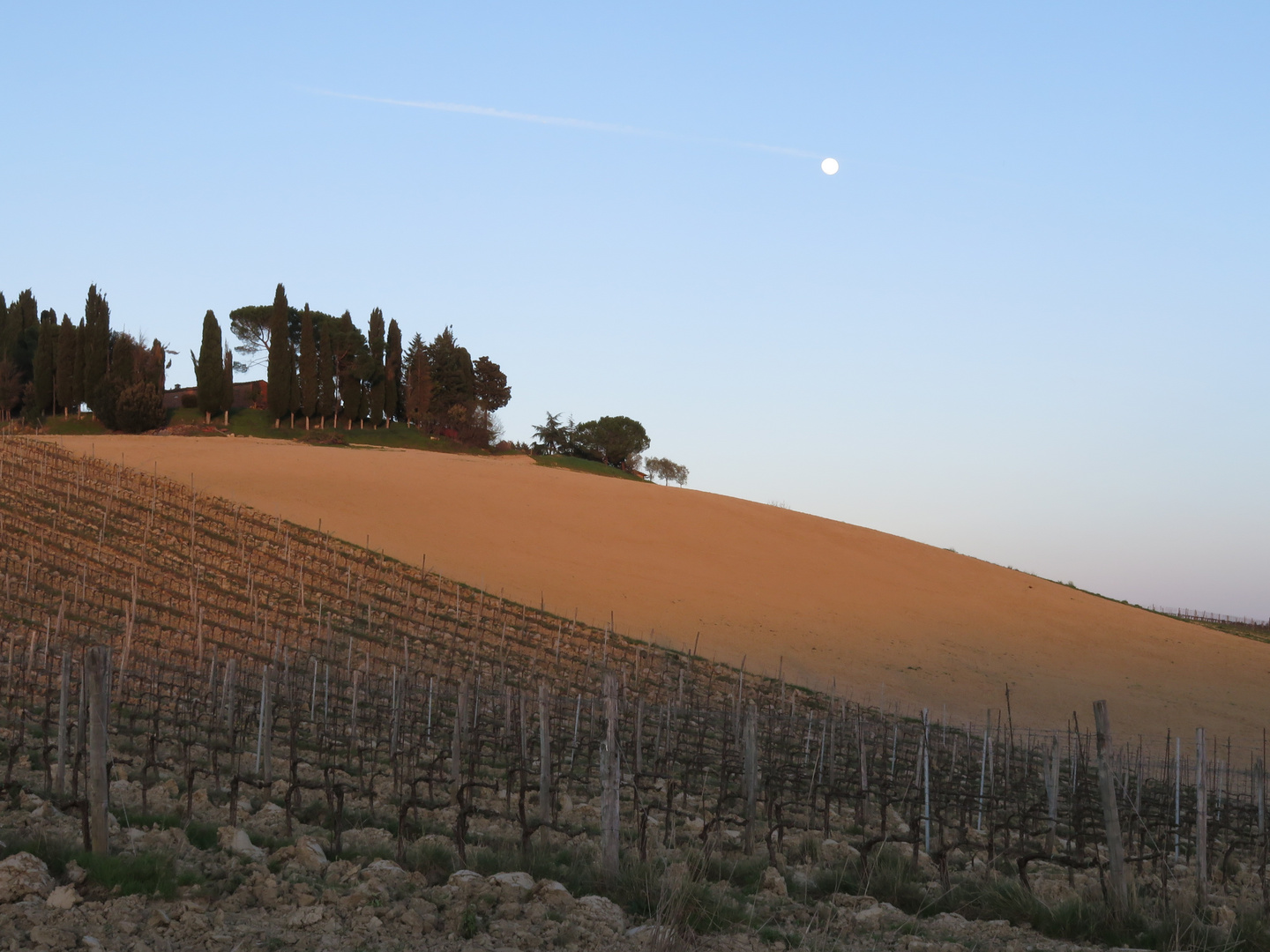 paesaggio_toscano