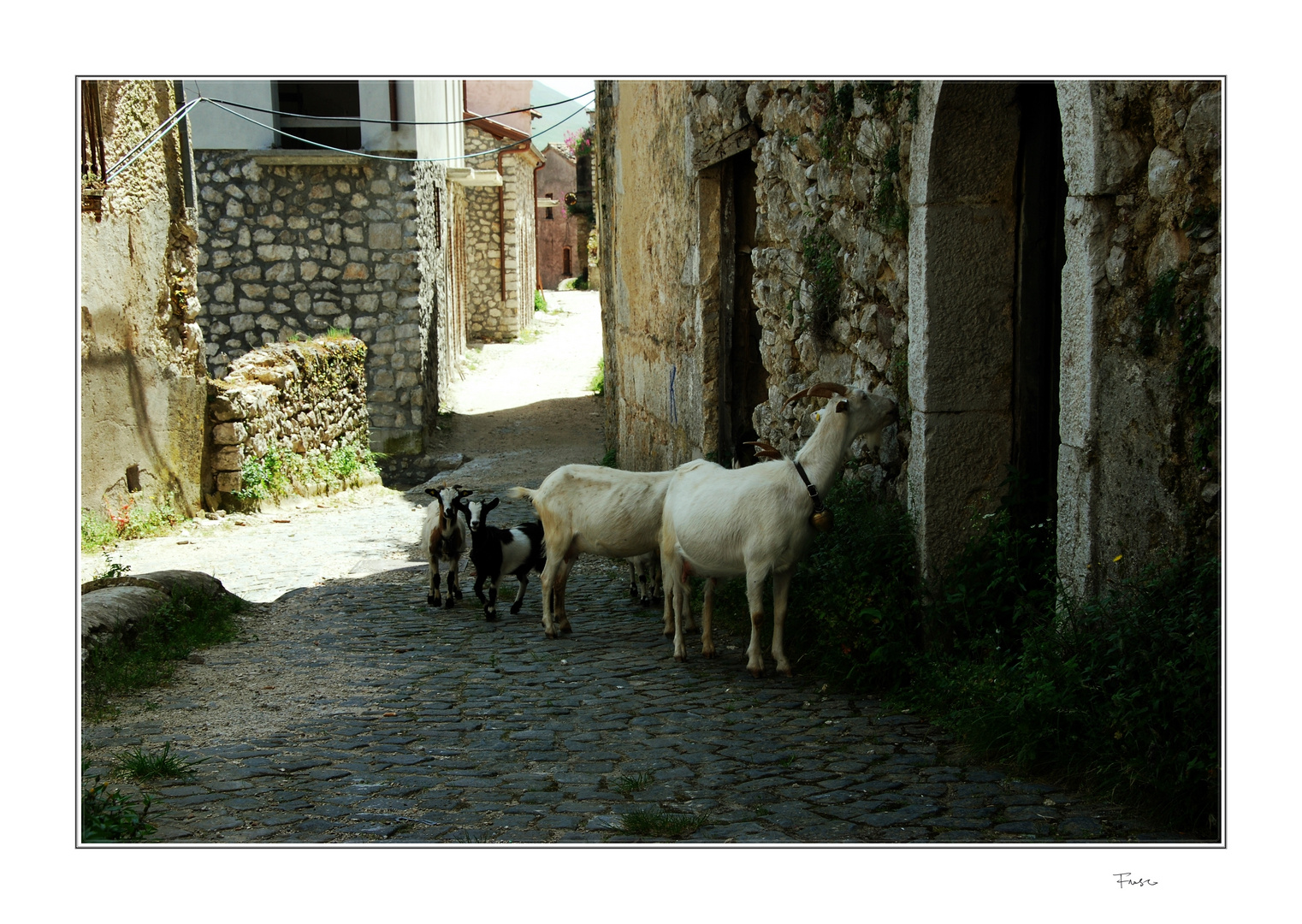 paese di campagna