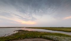 Paesens - Moddergat - Smidspaed - Waddenzee - 06