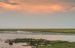 Paesens - Moddergat - Smidspaed - Waddenzee - 07