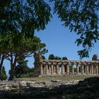 Paestum