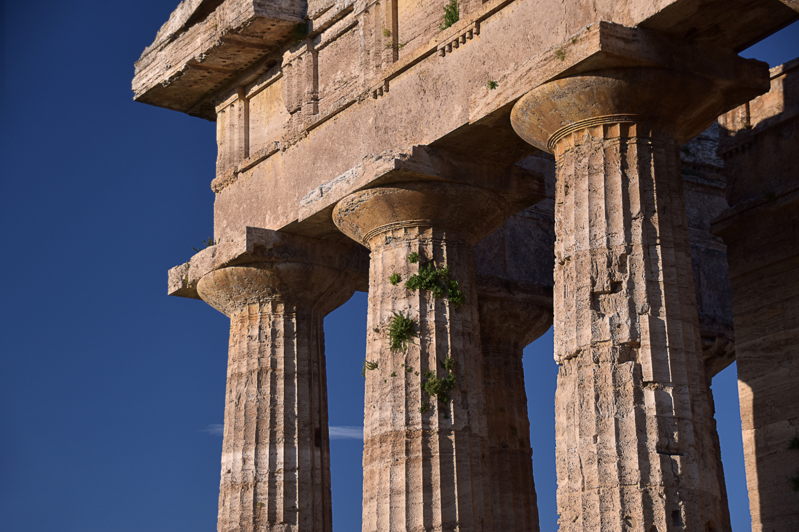 Paestum 