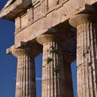 Paestum 