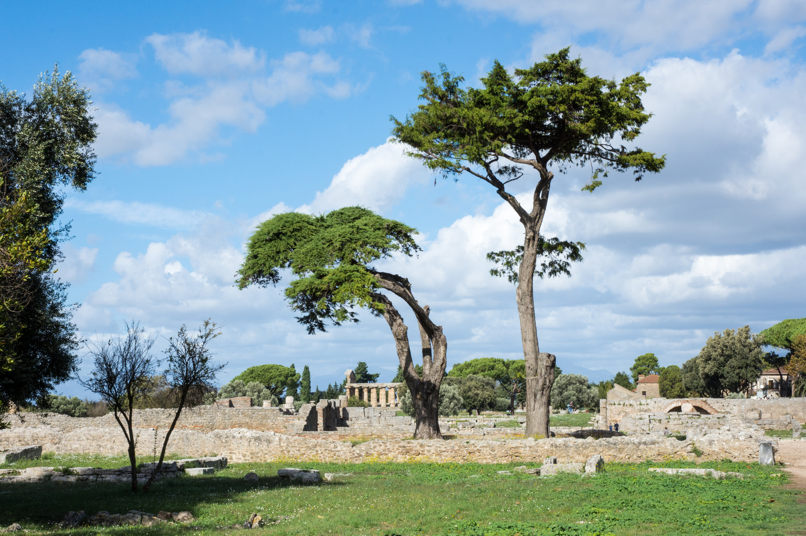 Paestum