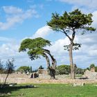 Paestum