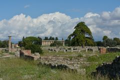 Paestum - Athene - Tempel