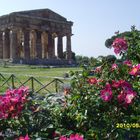 Paestum