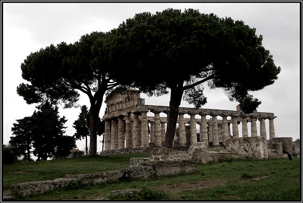 Paestum II