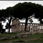 Paestum II