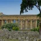 PAESTUM-ITALIEN