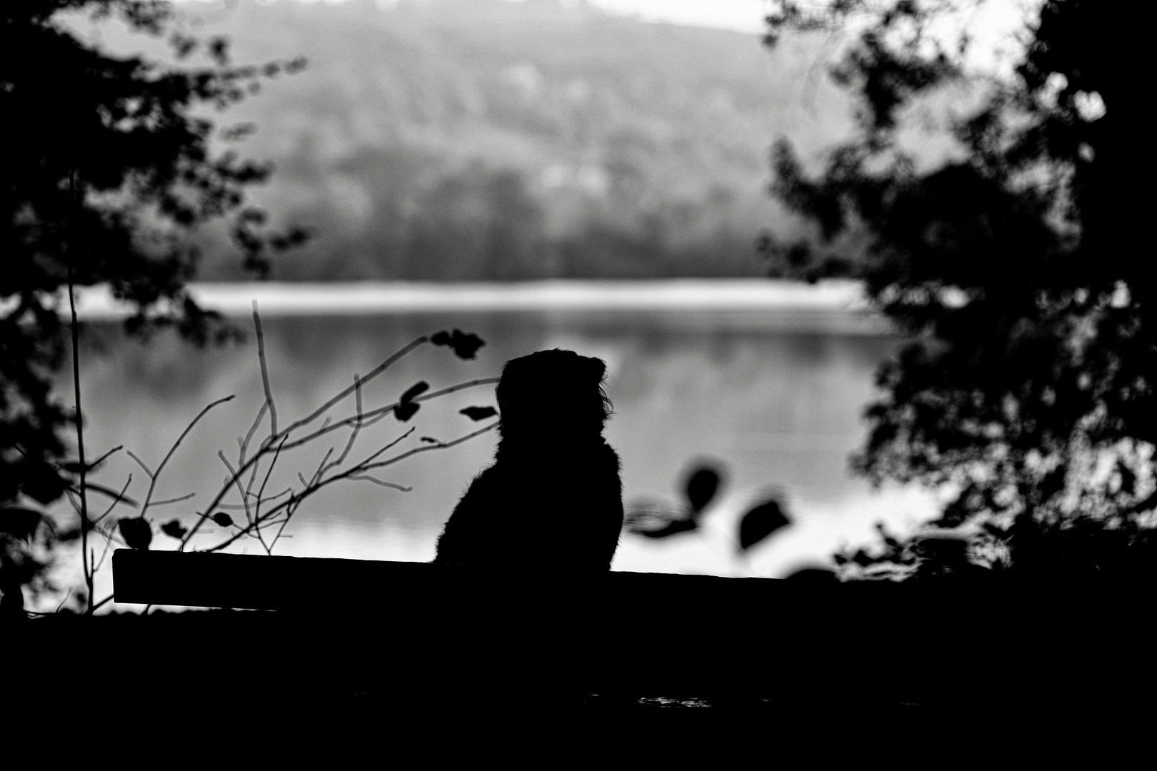 Päuschen am See