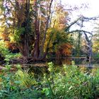 Paffendorfer Herbst I