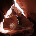 Page, Slot Canyon Tour