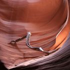 Page, Slot Canyon Tour