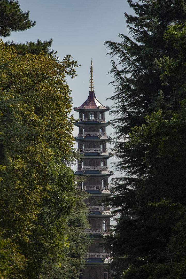 Pagoda in the Trees