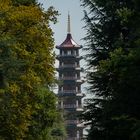 Pagoda in the Trees