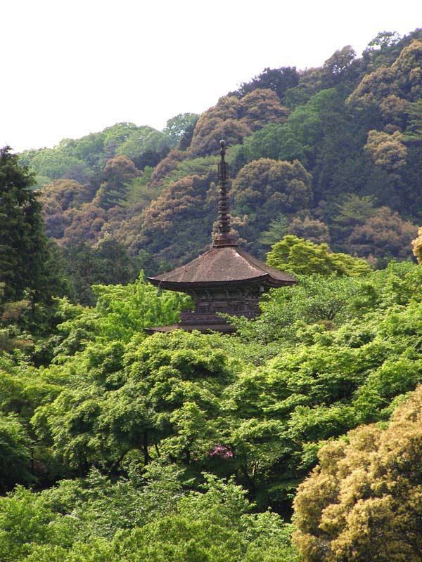 Pagoda roof in Kyoto forest